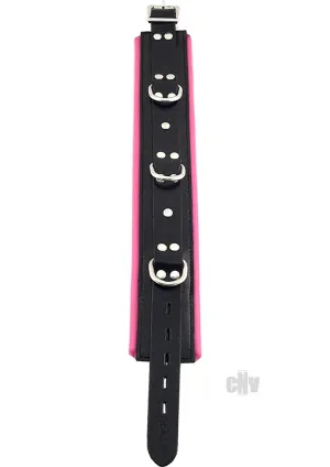 Rouge 3ring Padded Collar Blk/pnk
